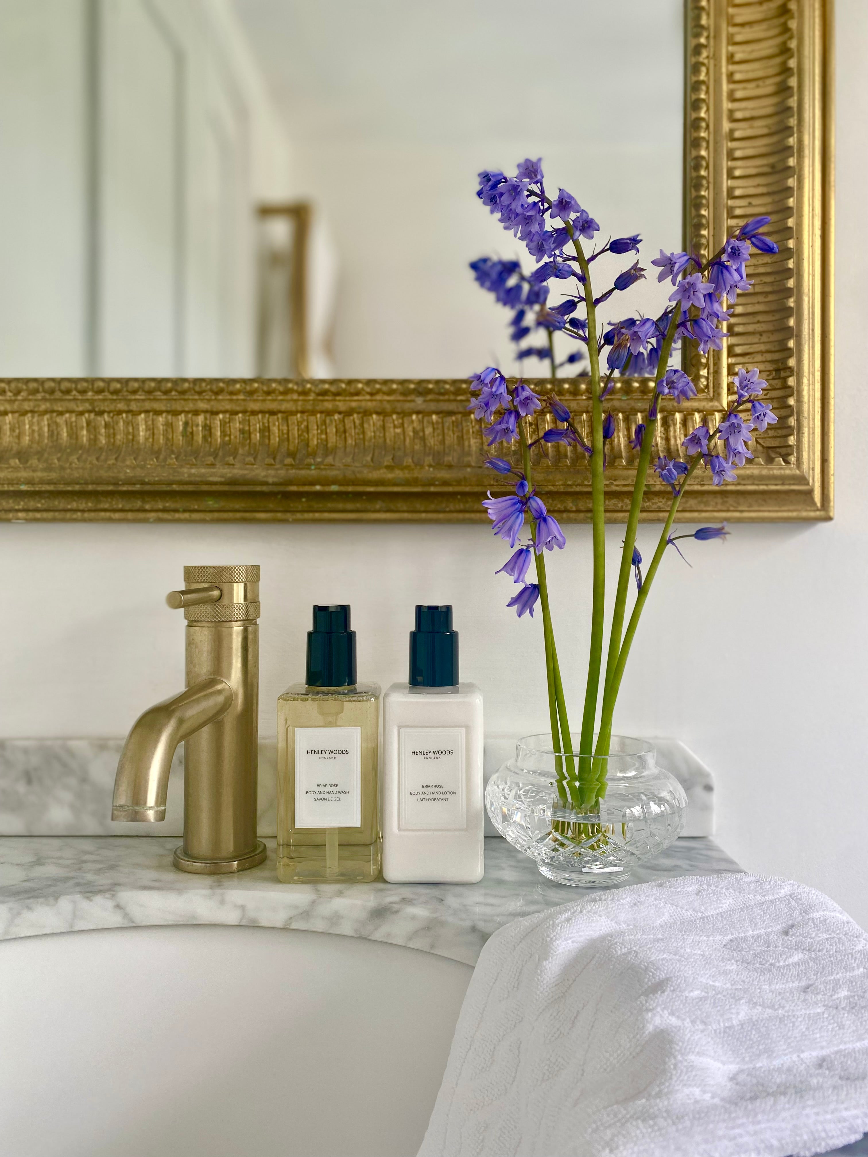 BRIAR ROSE BODY AND HAND LOTION