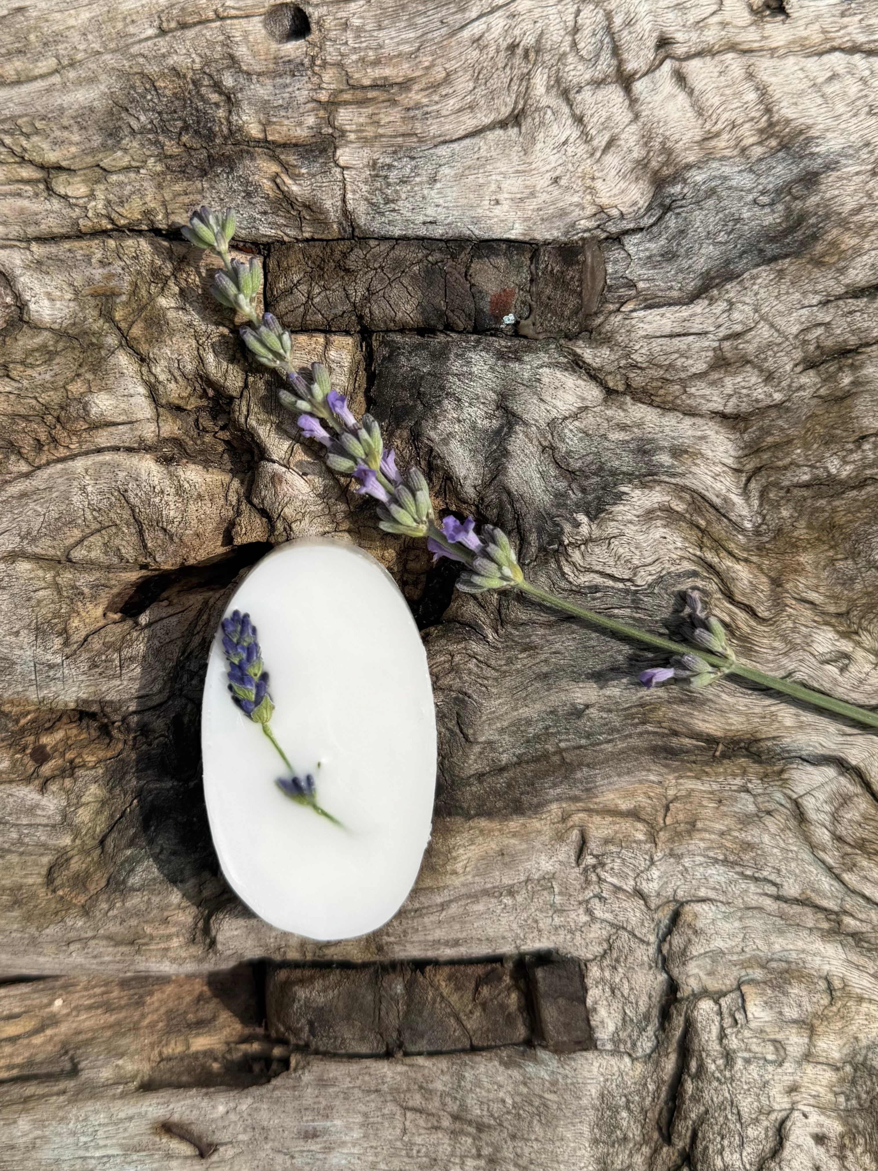 LAVENDER MELT